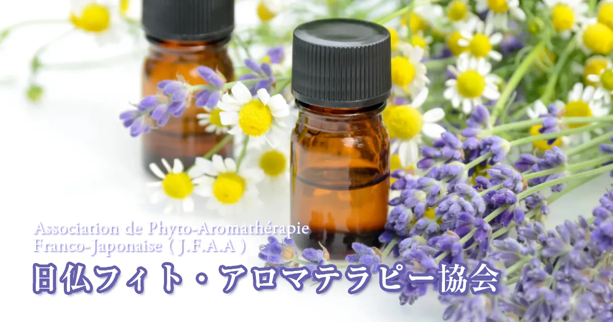 植物療法のアロマテラピー 森も人も健やかになる日本のアロマテラピー | ECCCA WEB MAGAZINE